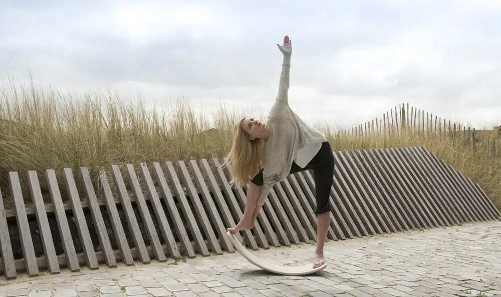 Une planche Wobbel